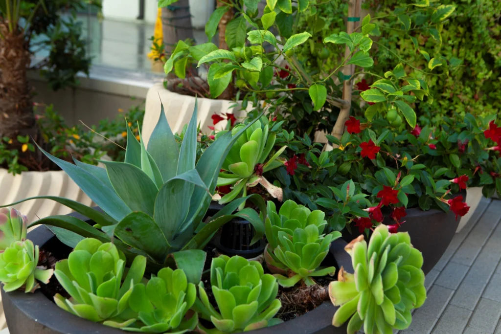 Pacific Green Landscape Inc Escondido CA