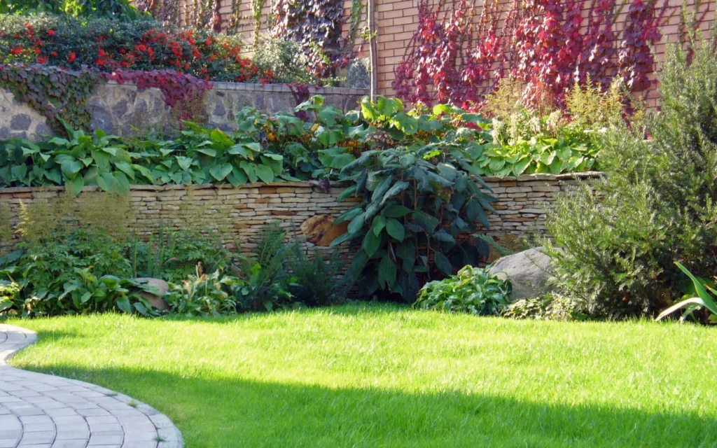 Vista Verde Landscape Services Escondido CA